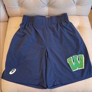 MEN’S ASICS Sz S Performance Shorts Navy Blue